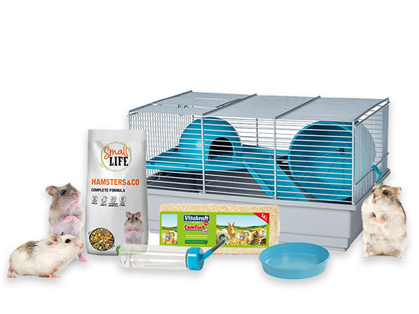 Kit Hamster