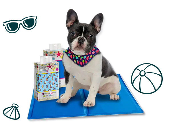 Tapetes e bandanas refrescantes para cães e gatos