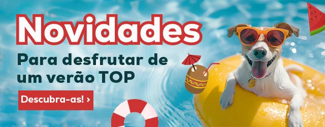 Descubra todas as novidades