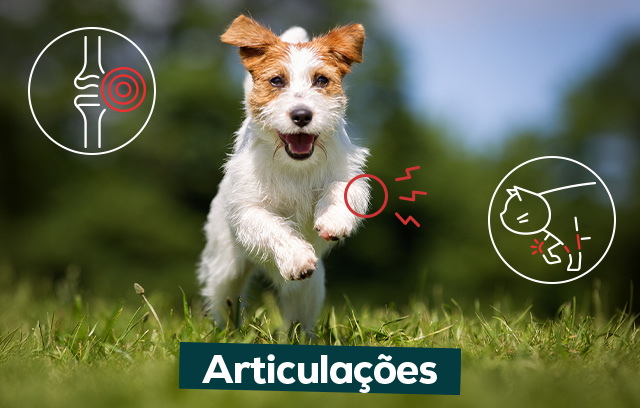 Articulações