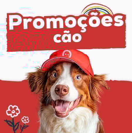 Promoções cão
