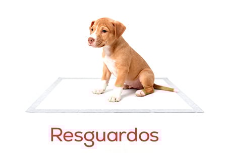 Resguardos para ensiná-lo a fazer as suas necessidades nos primeiros meses