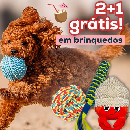 3 x 2 numa seleção de brinquedos