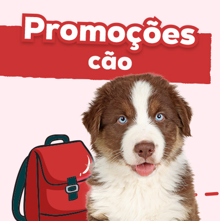 Promoções para cães