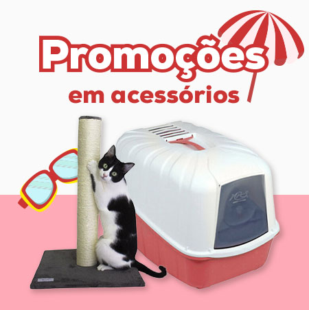 Mega descontos em acessórios para gato