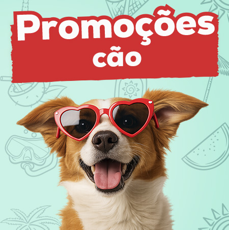 Promoções para cão