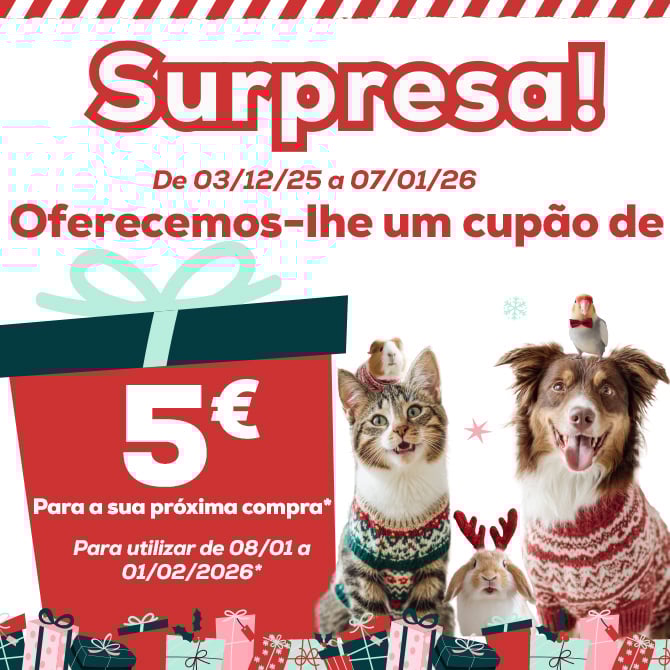 Novas Promoções de Natal com até 50% de desconto em alimetação, snacks, camas, brinquedos, arranhadores e muito mais. 
