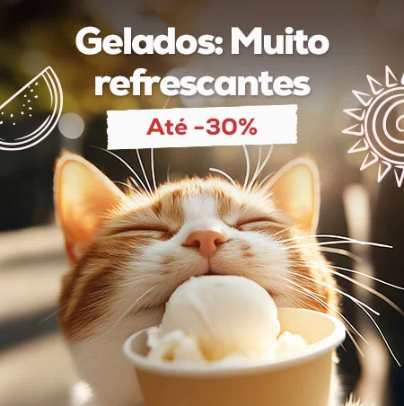 Lambidelas fresquinhas: Até -30% numa seleção de gelados