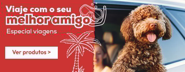 Especial viagens: Viaje com o seu melhor amigo