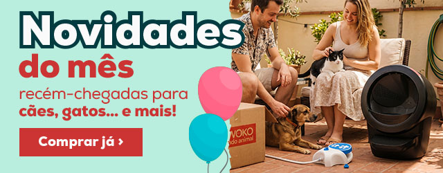 Descubra todas as novidades de Junho
