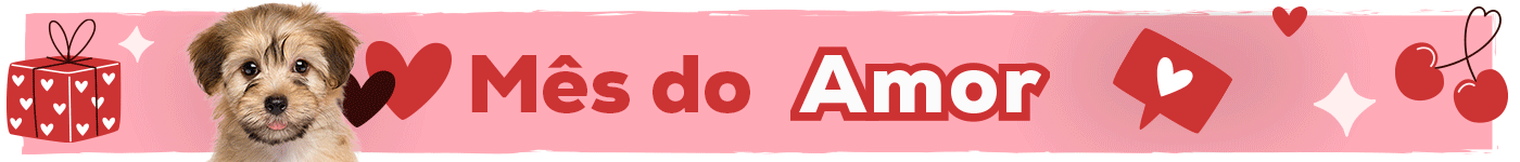 Mês do Amor: Até -30% numa seleção de acessórios para cão
