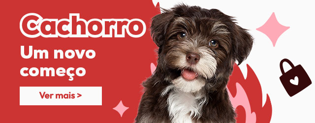 Catálogo cachorro: Tudo o que precisa para lhe dar as boas-vindas