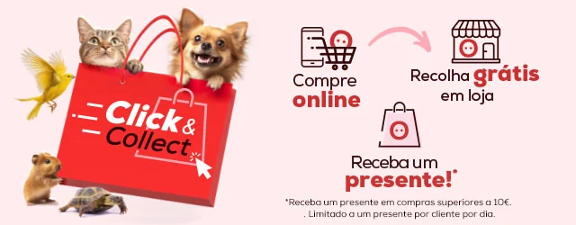 Click & Collect
