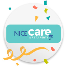Nice Care