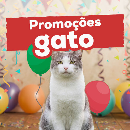 Promoções para gato