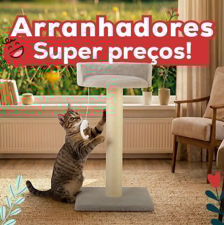 Super Preços numa seleção de arranhadores