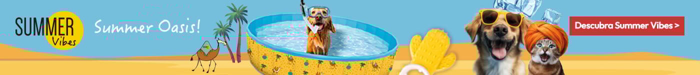 Summer Vibes: Desfrute de um bom mergulho este verão