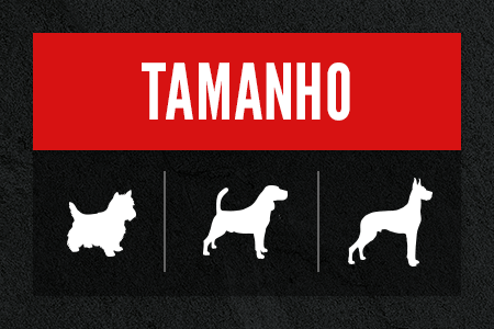Tamanho da raça. Descubra a recita que melhor se adapta.
