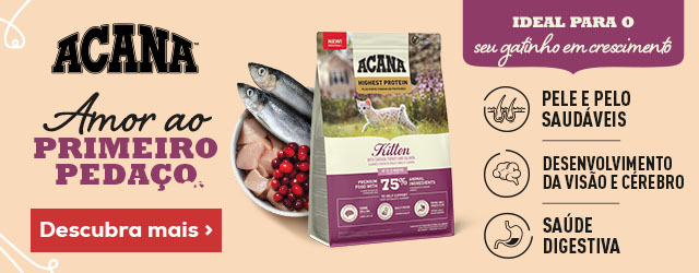Lançamento exclusivo de ração Acana para gatos de interior Lançamento exclusivo de ração Acana para gatos de interior
