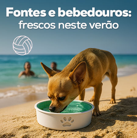 Fontes e bebedouros