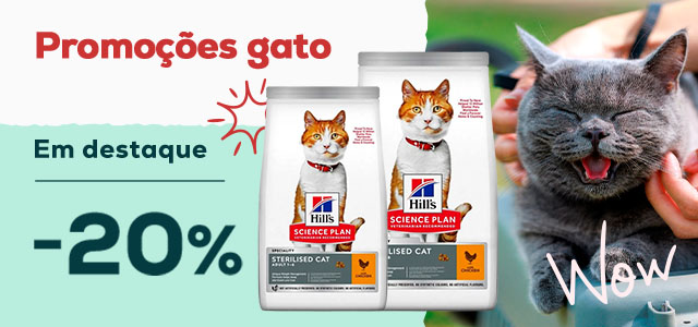 Hill's: 20% de desconto em seleção de ração para gato