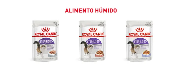 Royal Canin esterilizado. Encontre a comida húmida que melhor se adapta ao seu gato esterilizado.