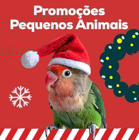 Novas Promoções de Natal com até 50% de desconto em alimetação, snacks, camas, brinquedos, arranhadores e muito mais.