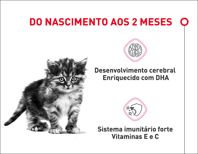 Alimentação desde o nascimento até aos dois meses