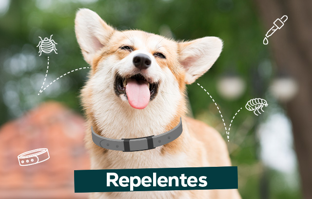 Repelentes