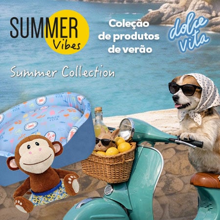 Antecipe-se ao verão