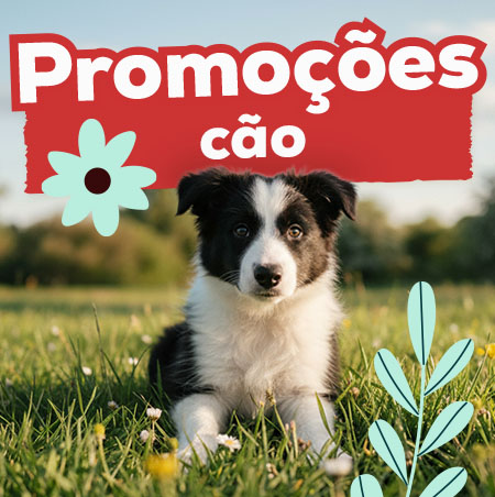 Promoções para cão