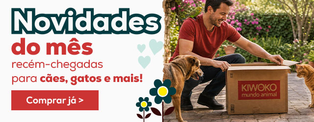 Descubra as novidades do mês
