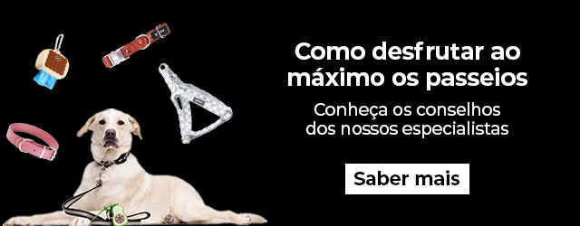 Passear com o seu cão é um dos melhores momentos do dia. Descubra tudo o que necessita saber.
