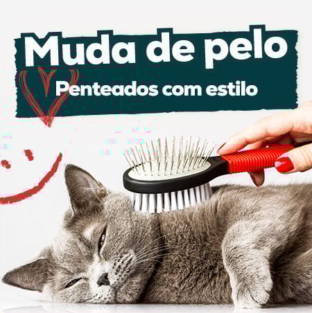 Promoções em produtos para o pelo