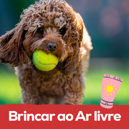 Brincar