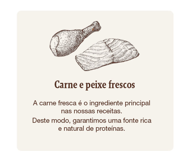 Alimentação elaborada com carne e peixes frescos, garantindo uma fonte rica e natural de proteínas