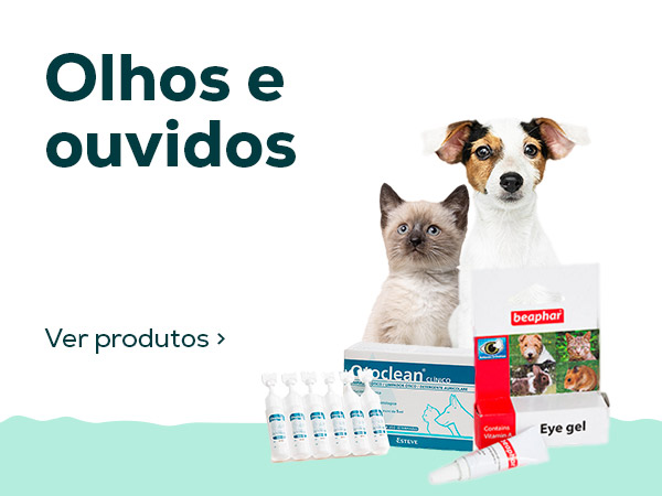 Olhos e ouvidos