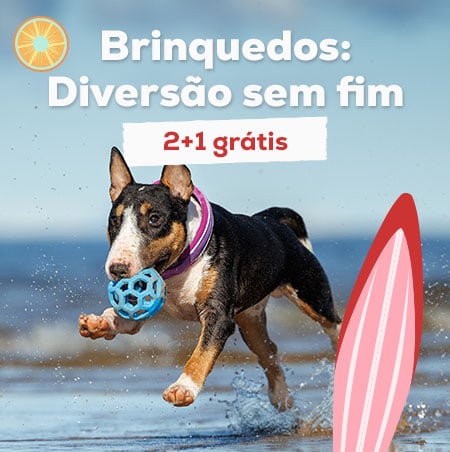 Diversão sem fim: 3 x 2 numa seleção de brinquedos