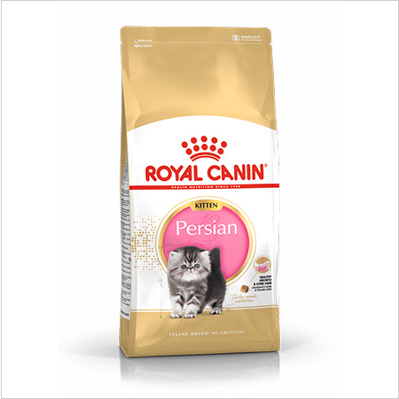 Royal Canin British Shorthair Kitten ração
