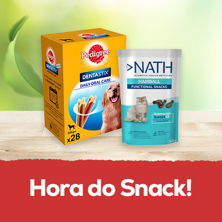 Snacks saborosos para os reis da casa