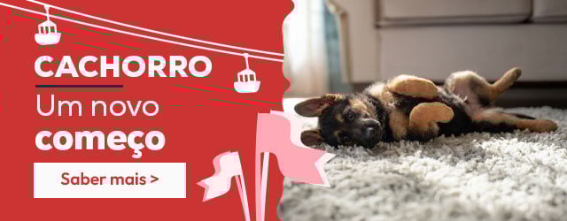 Catálogo cachorro: Tudo o que precisa para lhe dar as boas-vindas