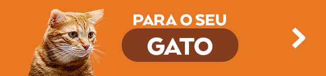 Gatos