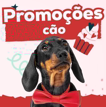 Promoções para cão