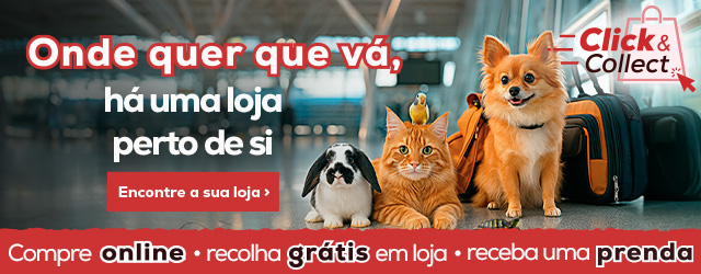 Click & Collect