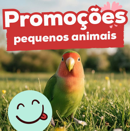 Promoções para pequenos animais