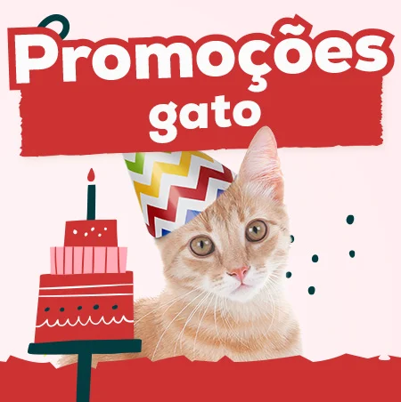 Promoções para gato