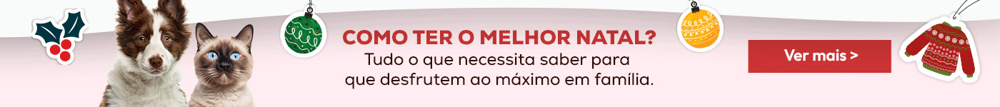 Tudo o que precisa saber para que o seu melhor amigo desfrute ao máximo