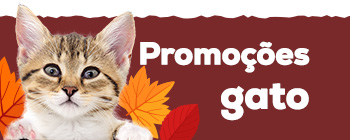 Promoções Gato