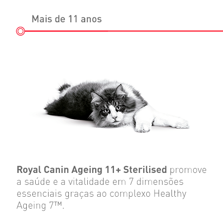 Mais de 11 anos: Gato esterilizado de idade avançada
