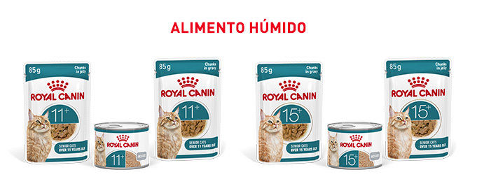 Royal Canin Senior. Encontre a comida húmida que melhor se adapta ao seu gato senior.